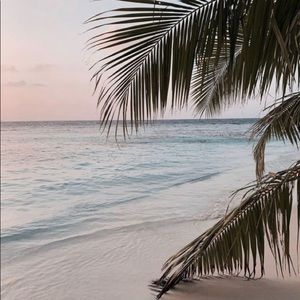 Meet your Posher, Isabella